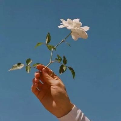 神墓之逆天手机版下载