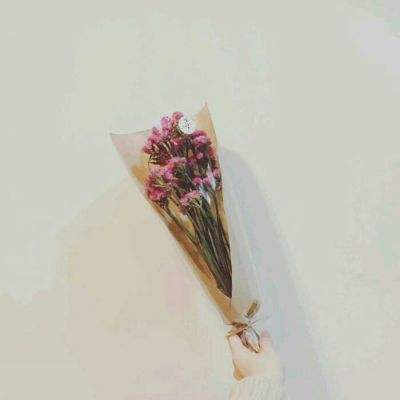 千亿星辰手机版下载