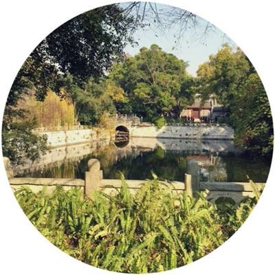果盘仙魔纪变态版下载