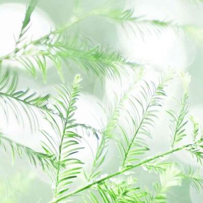 全职猎妖官方版下载